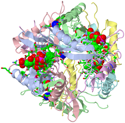 Image Biol. Unit 1 - sites