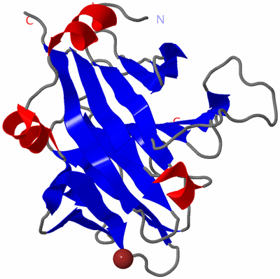 Image Asymmetric Unit