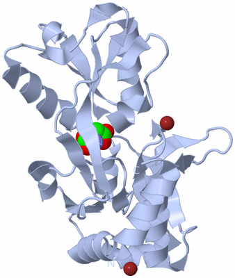 Image Biological Unit 1