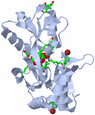 Image Biol. Unit 1 - sites