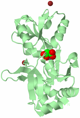Image Biological Unit 2