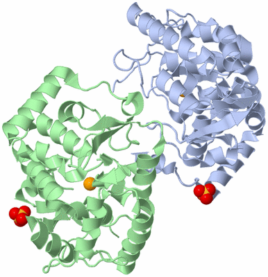 Image Asym./Biol. Unit