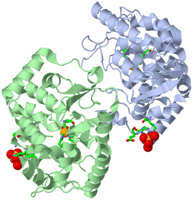 Image Asym./Biol. Unit - sites