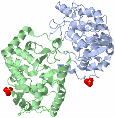 Image Asym./Biol. Unit