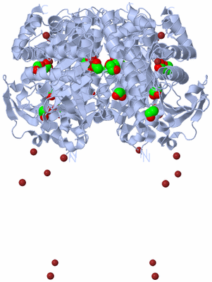 Image Biological Unit 1