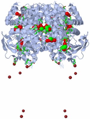 Image Biol. Unit 1 - sites