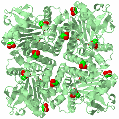 Image Biological Unit 2