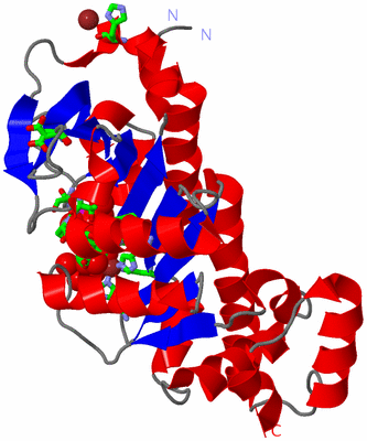 Image Asym. Unit - sites