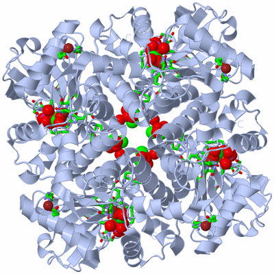 Image Biol. Unit 1 - sites