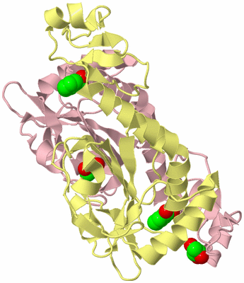 Image Biological Unit 2