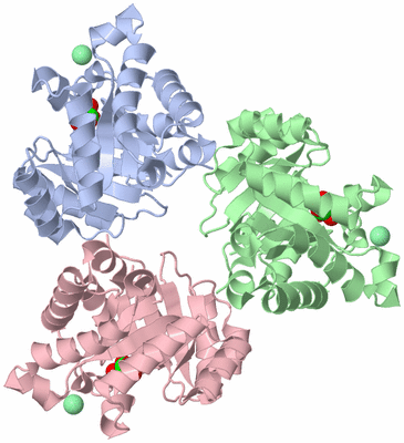 Image Asym./Biol. Unit