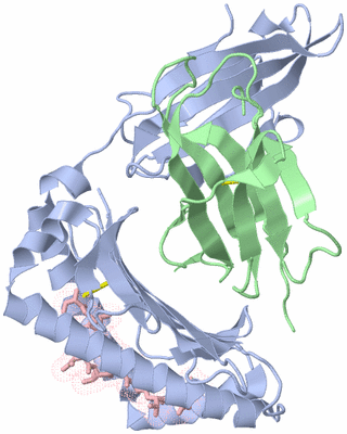 Image Biological Unit 1