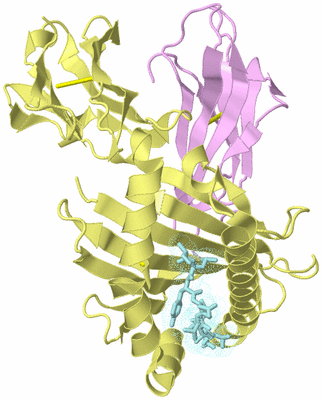 Image Biological Unit 2