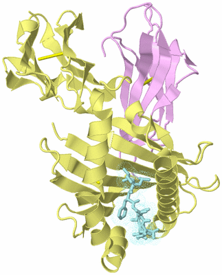 Image Biological Unit 2