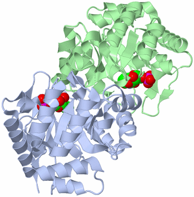 Image Asym./Biol. Unit