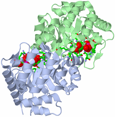 Image Asym./Biol. Unit - sites