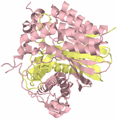 Image Biological Unit 2