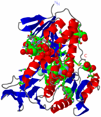 Image Asym./Biol. Unit - sites