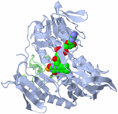 Image Asym./Biol. Unit