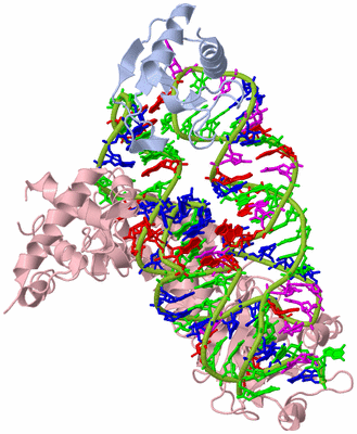 Image Biological Unit 1