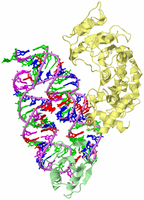 Image Biological Unit 2