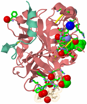 Image Asym./Biol. Unit - sites