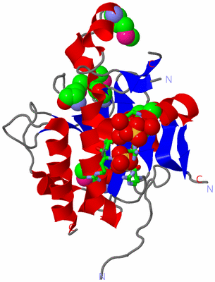 Image Asym./Biol. Unit - sites