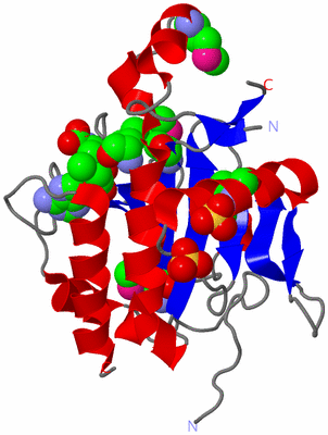 Image Asym./Biol. Unit