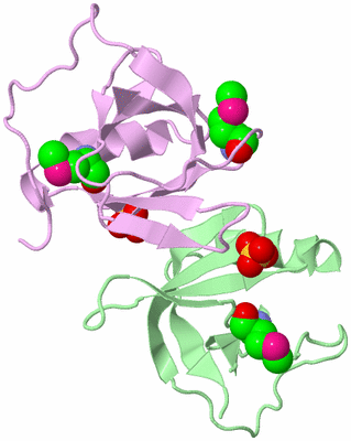 Image Biological Unit 3