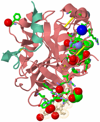 Image Asym./Biol. Unit - sites