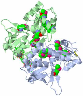 Image Asym./Biol. Unit - sites