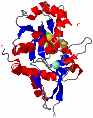 Image Asym./Biol. Unit