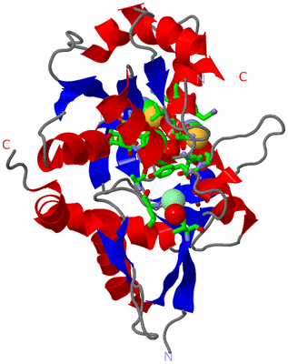 Image Asym./Biol. Unit - sites