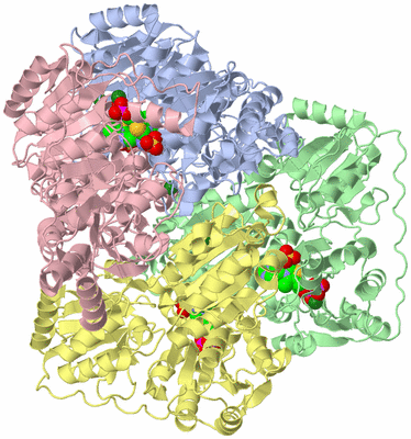 Image Asym./Biol. Unit