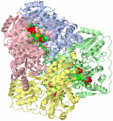 Image Asym./Biol. Unit - sites