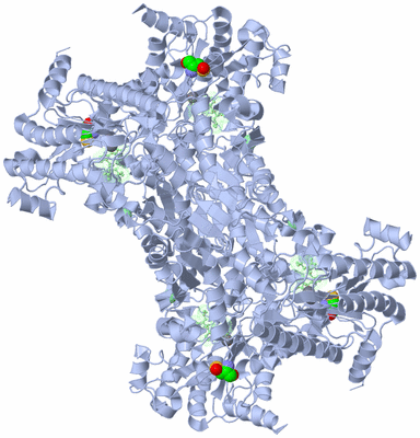 Image Biological Unit 1