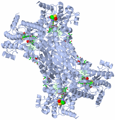 Image Biol. Unit 1 - sites