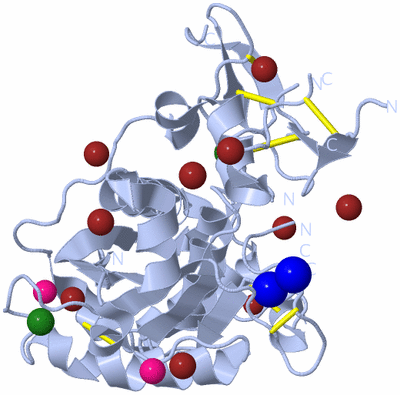 Image Biological Unit 1