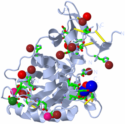 Image Biol. Unit 1 - sites