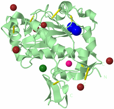 Image Biological Unit 2