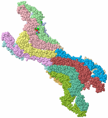 Image Asym./Biol. Unit - sites