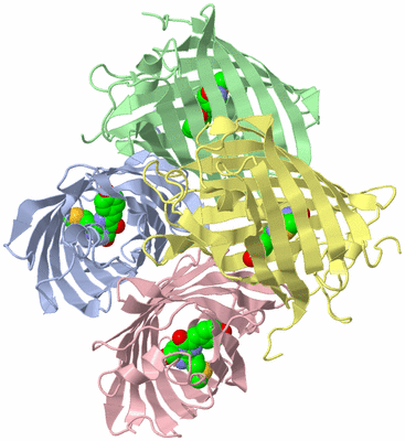 Image Biological Unit 1