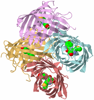 Image Biological Unit 2