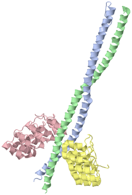Image Asymmetric Unit