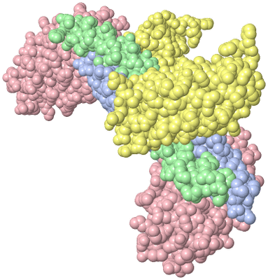 Image Biological Unit 1