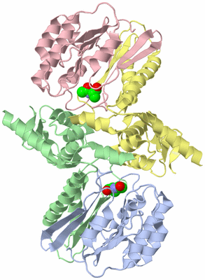 Image Biological Unit 1