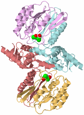 Image Biological Unit 2