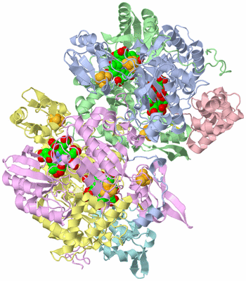 Image Asym./Biol. Unit