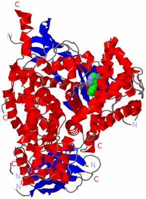 Image Asym./Biol. Unit