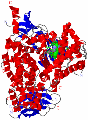 Image Asym./Biol. Unit - sites